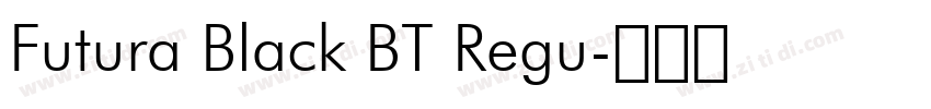 Futura Black BT Regu字体转换